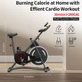 Home pedal exerciser bike